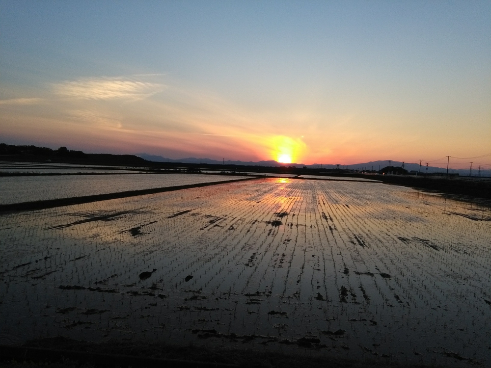 登米市田んぼの風景
